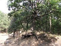 Serra Buffa